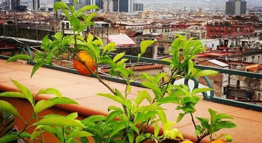 B&b MiracoLetti38