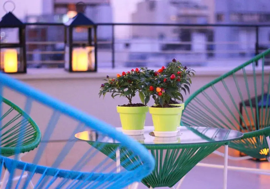Bulnes Eco Suites - Général