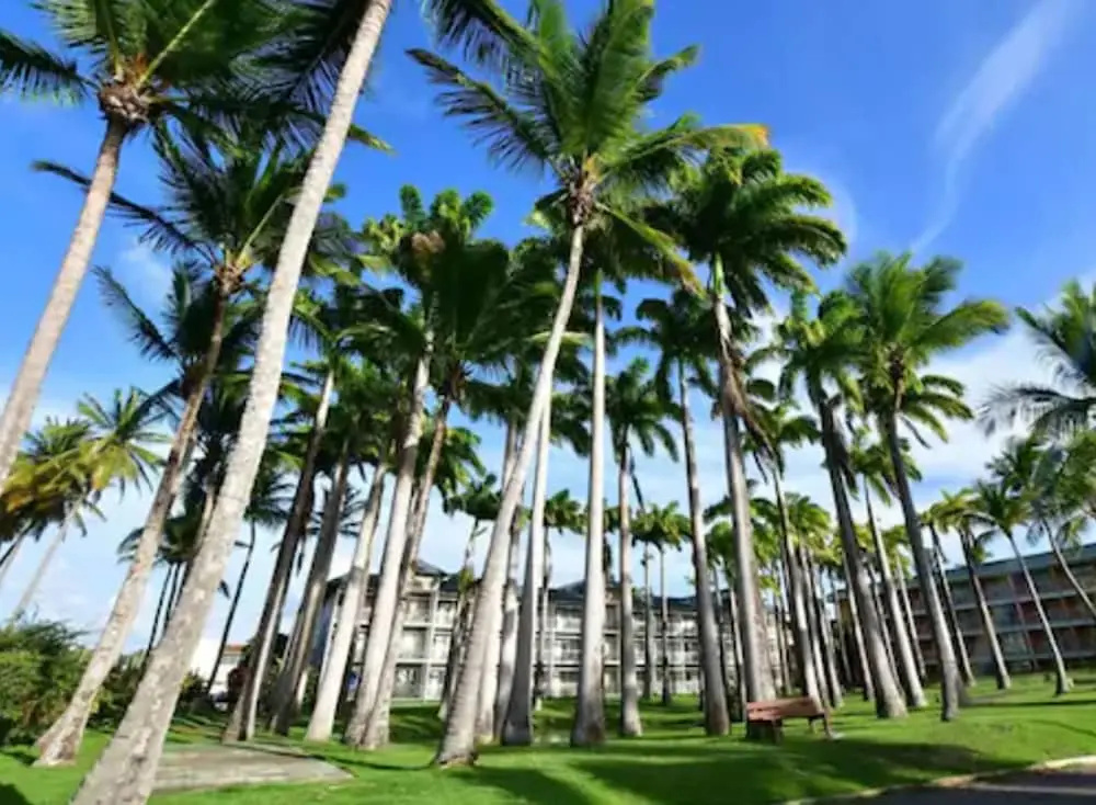 Hotel Bakoua Les Trois Ilets - Chambres
