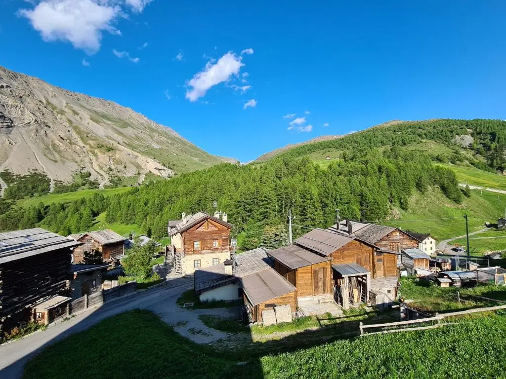 Apartment Il Nocciolo