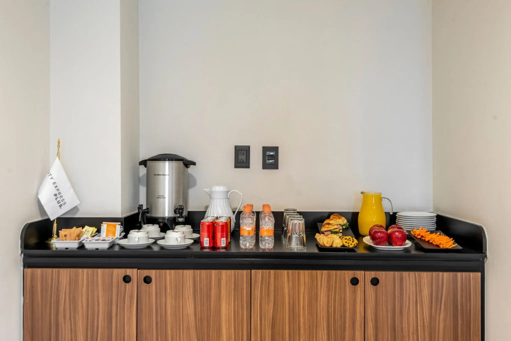 City Express Plus by Marriott Guadalajara Palomar - Général