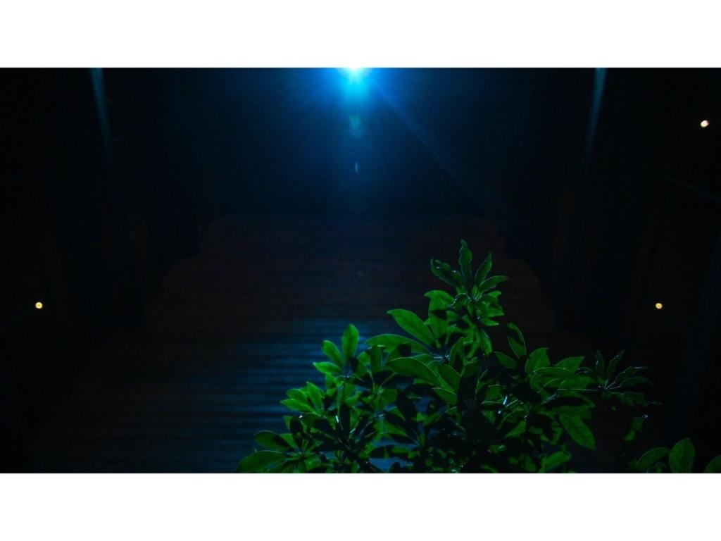 nol kyoto sanjo - Vacation STAY 00926v 사진 13