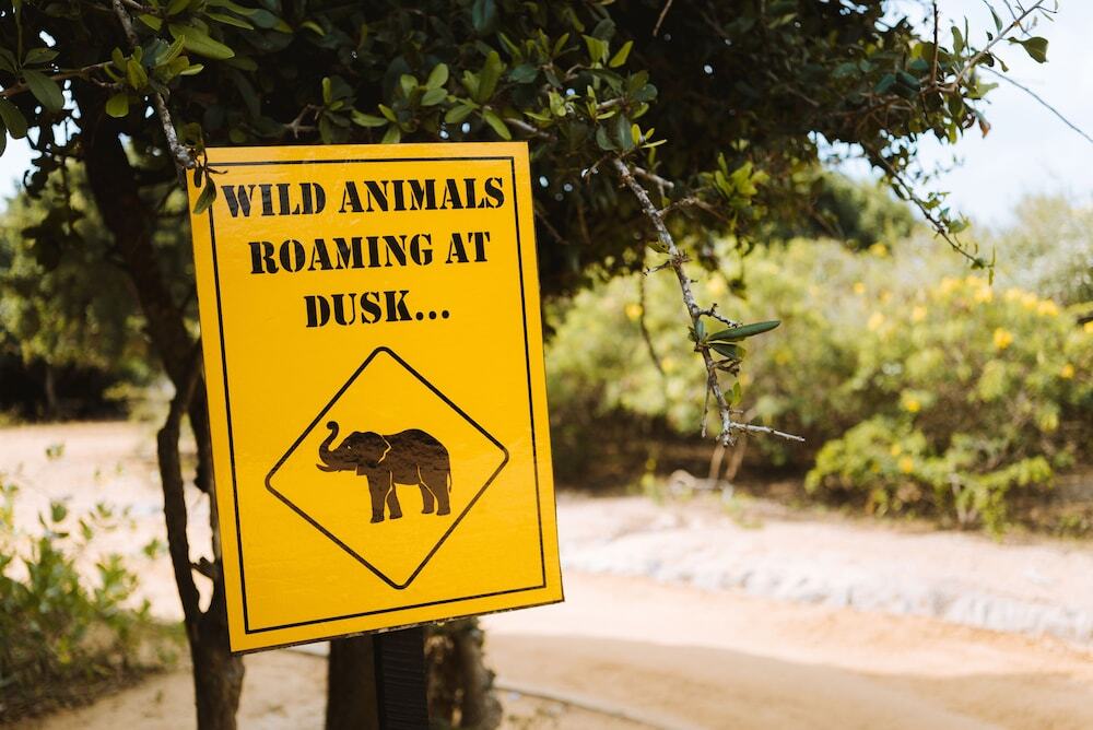 Jetwing Safari Camp - All Inclusive