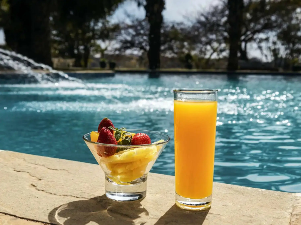 Hotel Pullman Lubumbashi Grand Karavia - Général