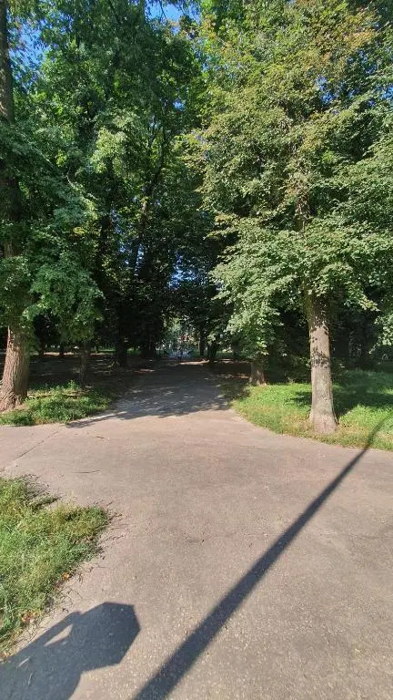 Apartament Park Saski