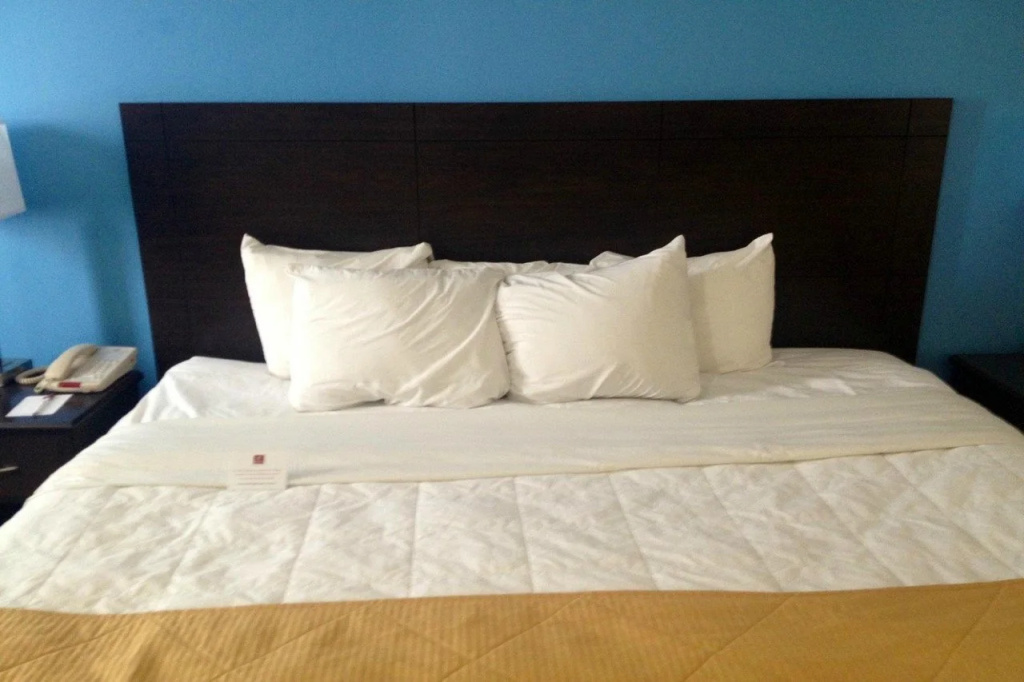 Ramada Cedar Rapids - Général