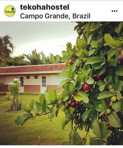 Отель Tekohá Hostel, фото 2