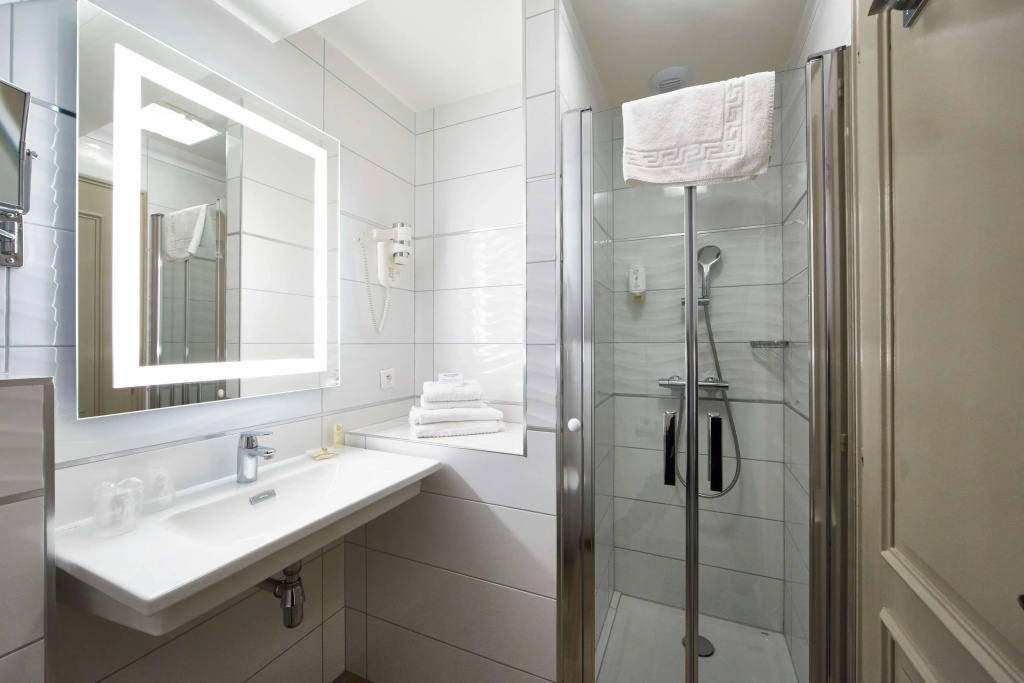 Best Western Plus Au Cheval Blanc Mulhouse Nord - Général