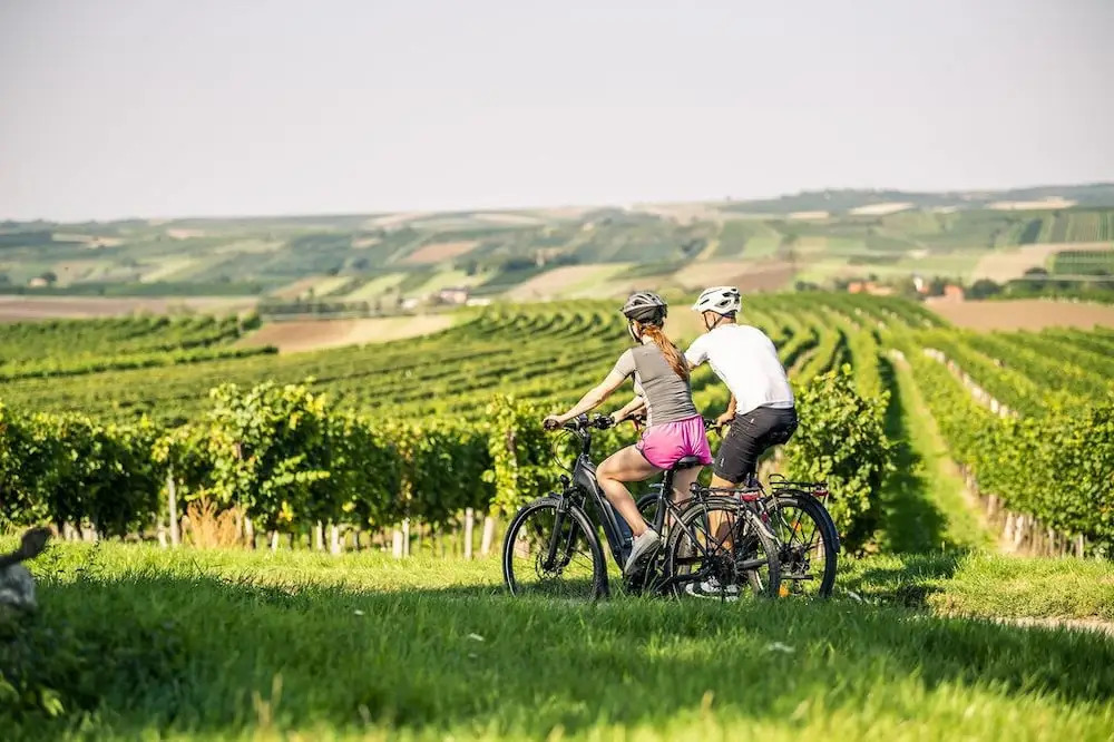 Self-Check-in Hotel VinoQ Zistersdorf - фото 13