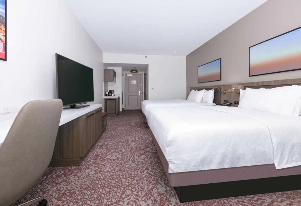 Hilton Garden Inn Dallas/Arlington - Chambres