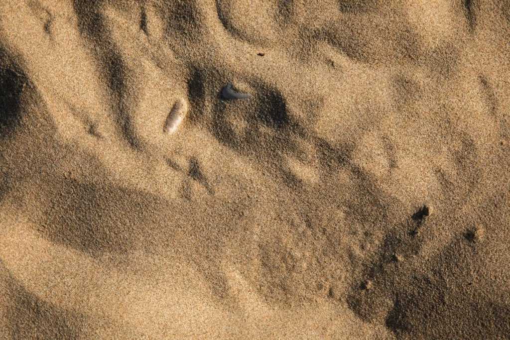 Evenia Platja Mar - Général