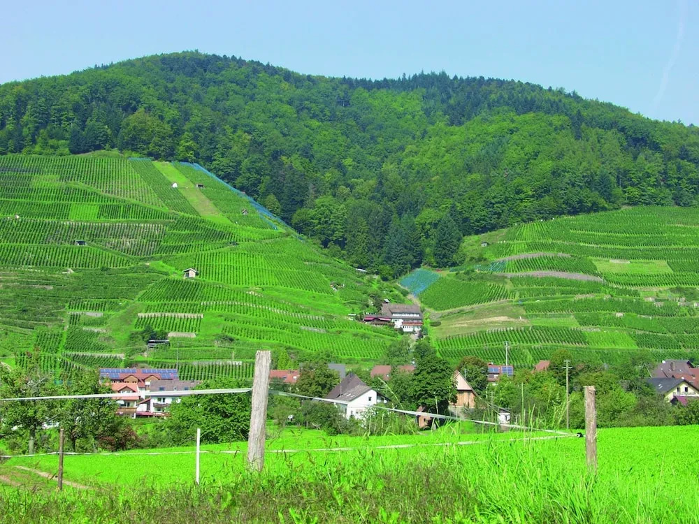 Landpension Haus Ruth - Général