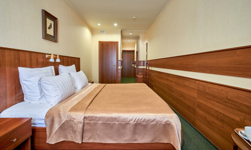 Standard Double room (full double bed)