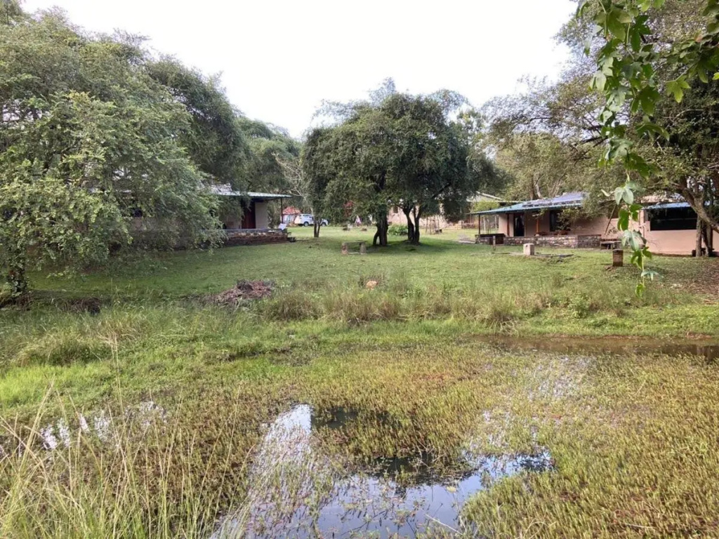 Jungle Hut Resorts - Général
