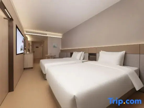 Business Double room (twin beds)