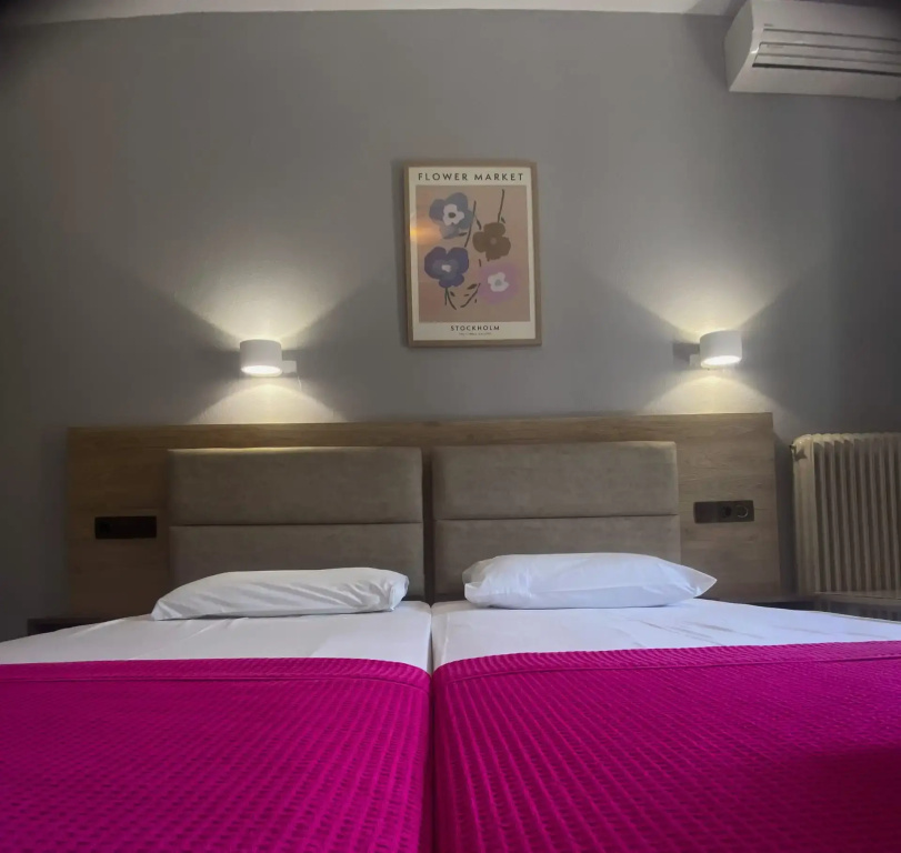 Standard Double room with mountain view (twin beds)
