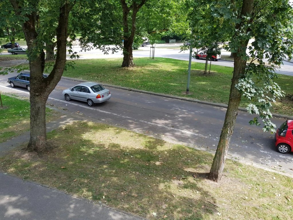 Apartment-Schlosshorst 1