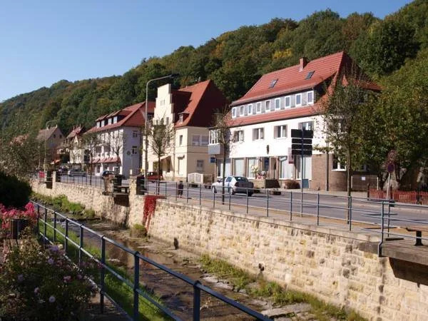 Parkhotel Sächsisches Haus - Général