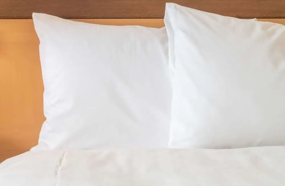 Hampton Inn & Suites by Hilton Mesquite - Chambres