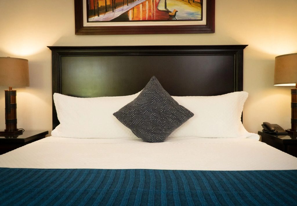 Papagayo Golden Palms Beachfront Hotel - фото 3