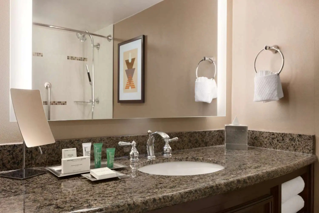 Hilton Arlington - Chambres