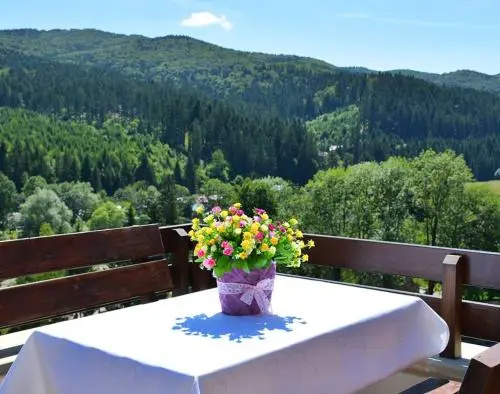 Balcony & Terrace
