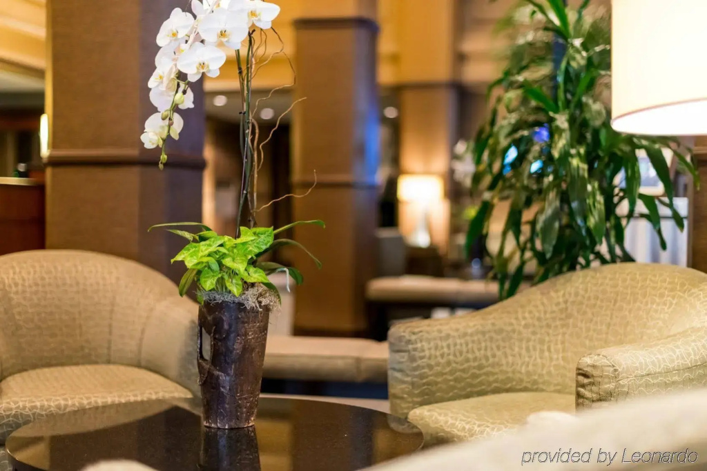 Hotel photo 50
