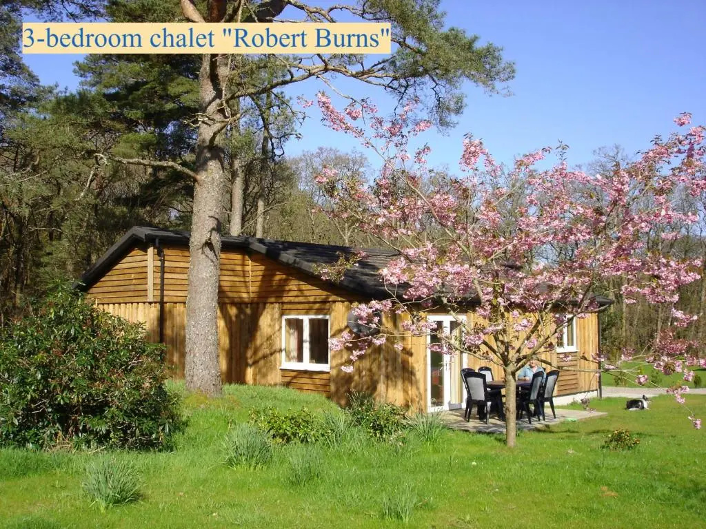 3 Bedrooms Chalet