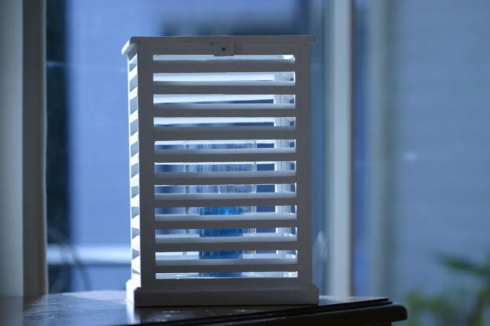 Au Bois Des Tilleuls