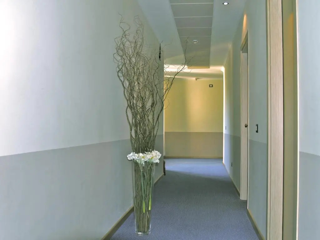 Domus Park Hotel & SPA - Général