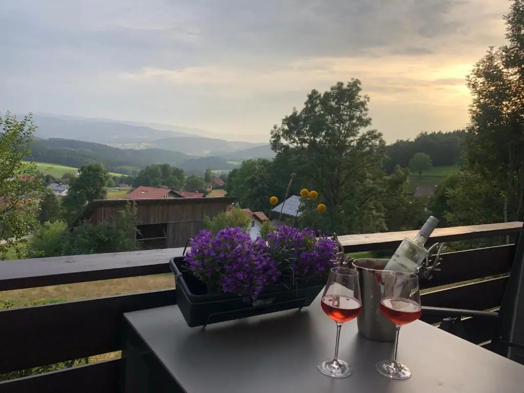 Apartment Tälerblick 2 -neu modernisiert-
