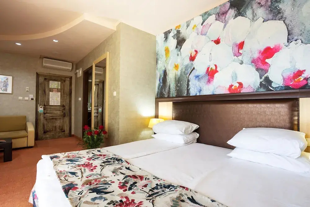 Balneo Complex & Spa Aquatonik - Chambres