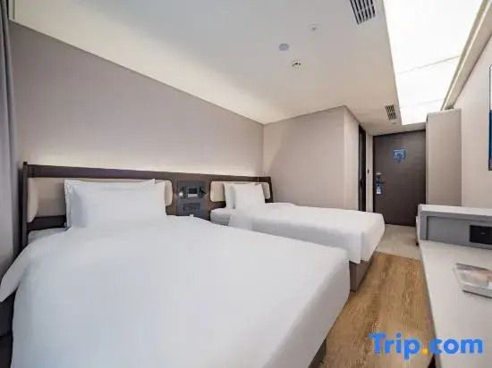 Business Double room (twin beds)