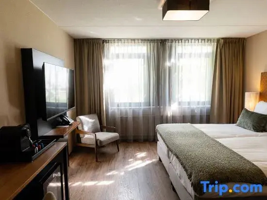 Comfort Double room (twin beds)