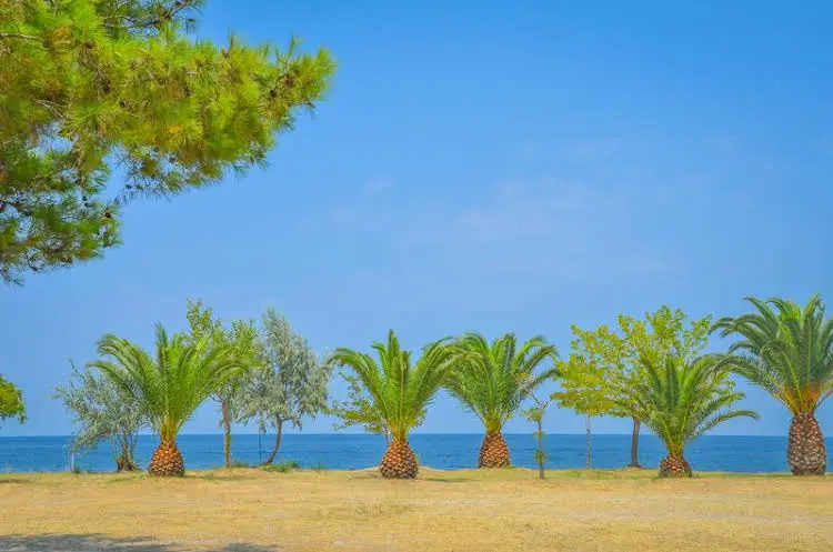 Beach & Waterfront