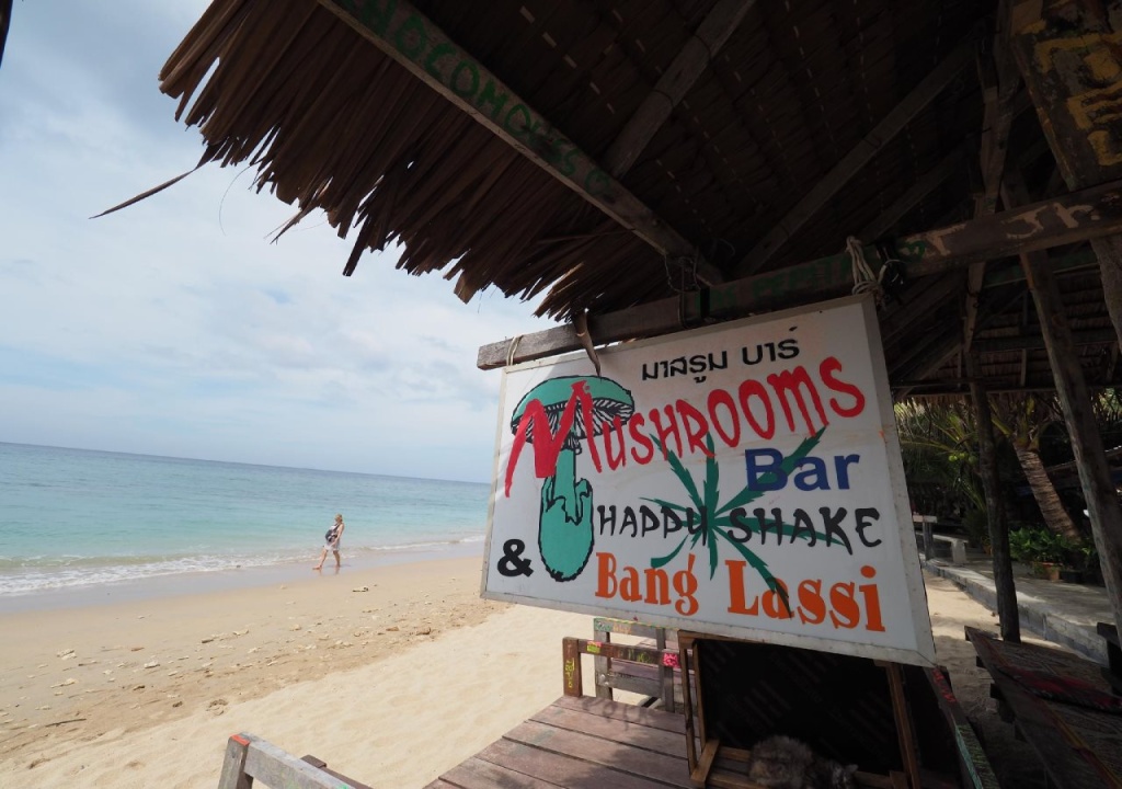 Beach & Waterfront
