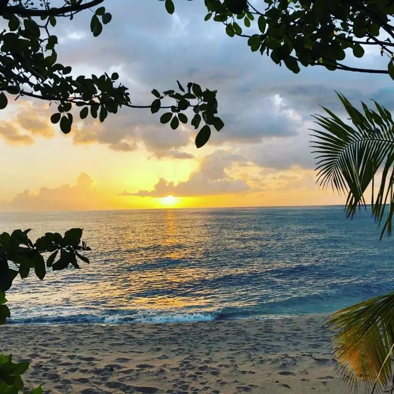 Beach & Waterfront