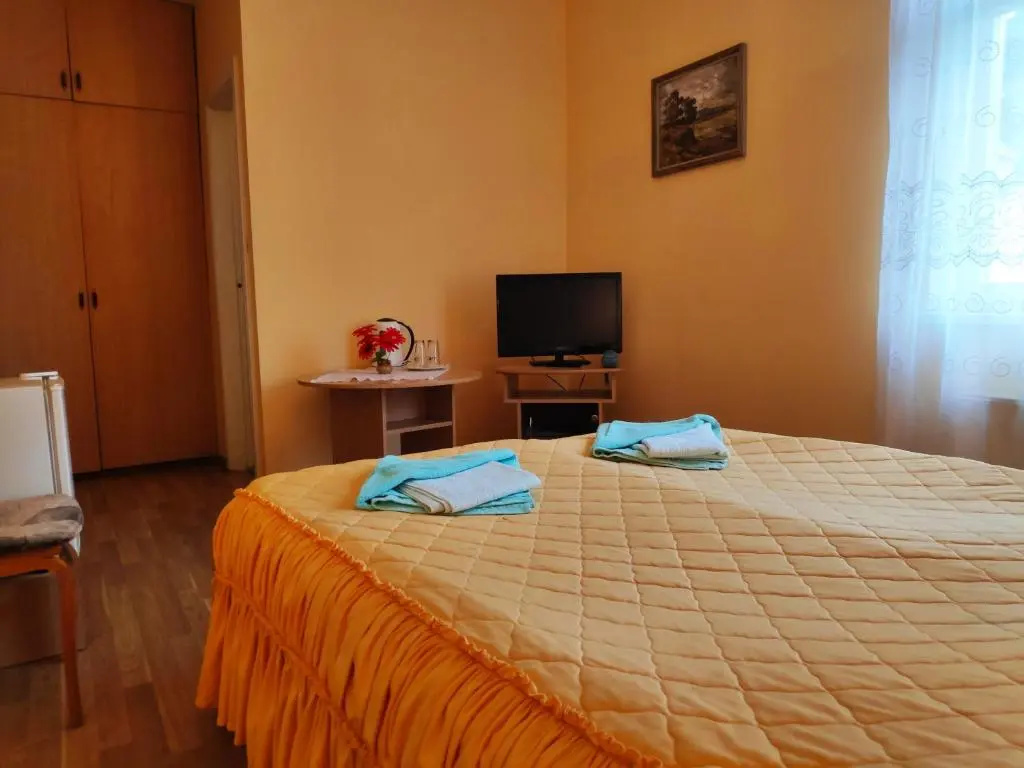 Standard Double room (full double bed)