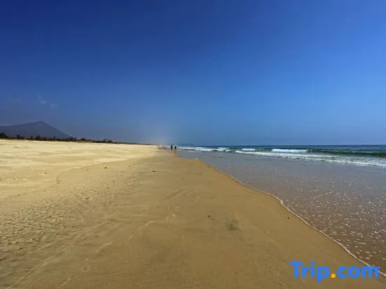 Beach & Waterfront