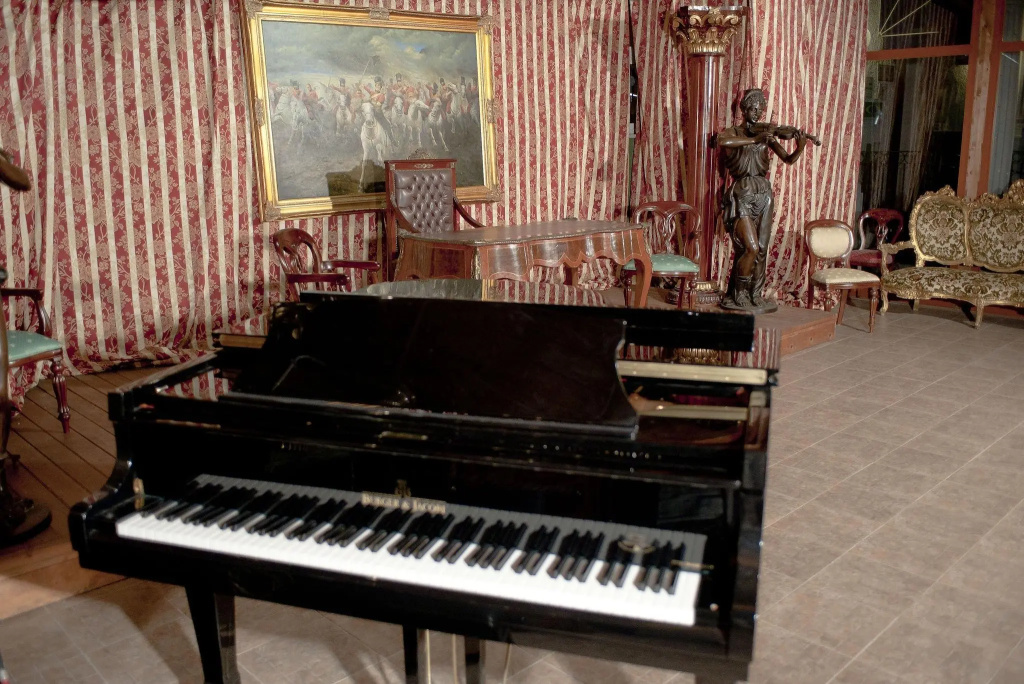 Hotel Chopin - Général