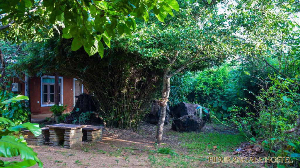 Pidurangala Hostel