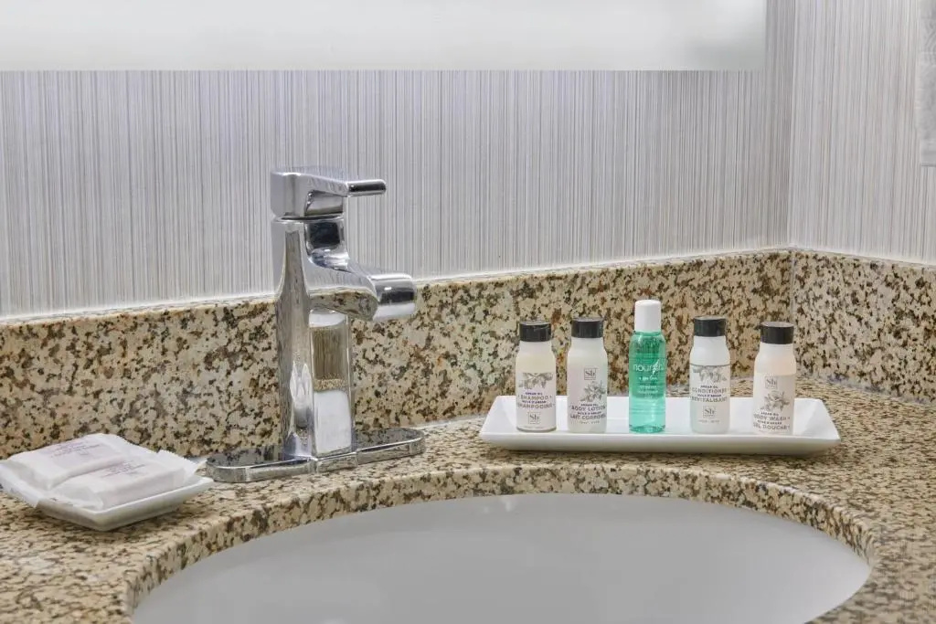 Delta Hotels by Marriott Detroit Novi - Chambres