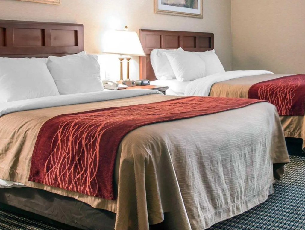 Wingate by Wyndham Livonia - Chambres
