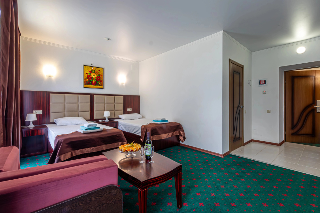 Wellness Hotel - Chambres