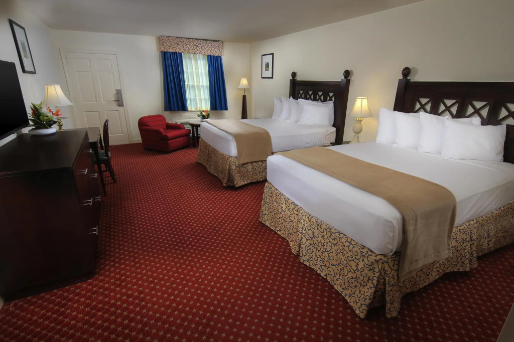Standard Double room (full double bed)