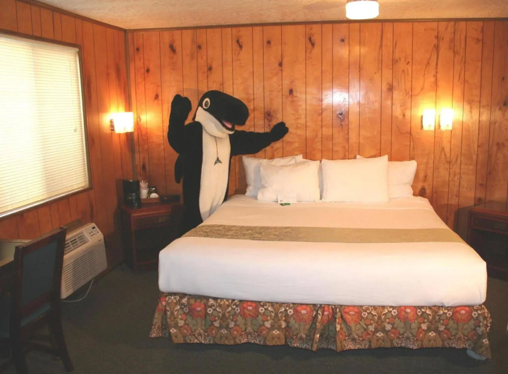 The Orca Inn - Général