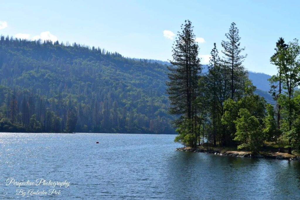 Yosemite Foothill Retreat - Private Guest Suite #2