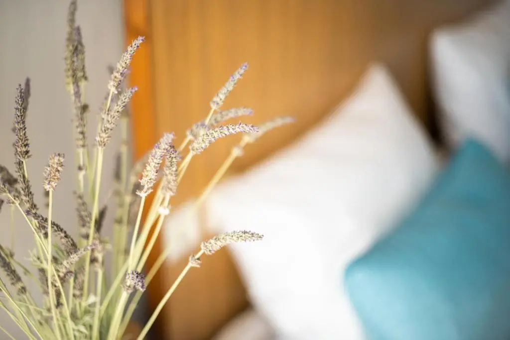 Myrto Hotel - Chambres