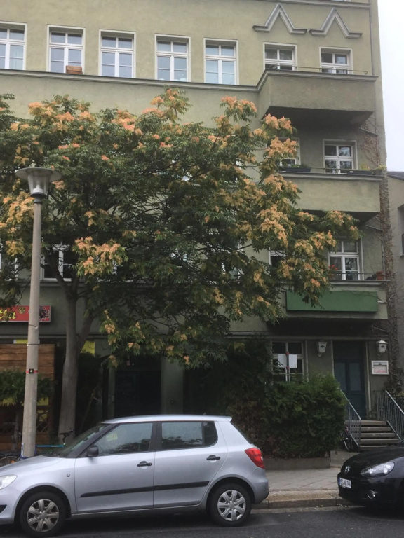 Sweet Home Inside Dresden Apartment One