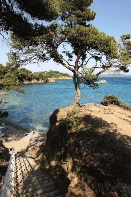 Beach & Waterfront